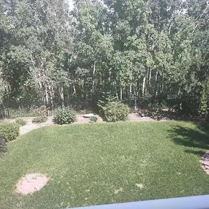 https://spacious-one-bedroom-walkout-basement-suite.calgaryhotelsearch.com
